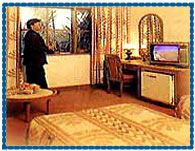 Guest Room Hotel Agra Ashok, Agra
