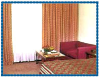 Guest Room Hotel Holiday Inn, Jaipur