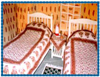 Guest Room Swiss Cottage Tents, Pushkar
